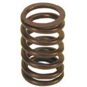 Valve spring