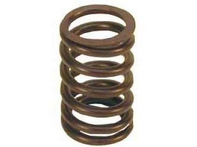 Valve spring