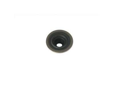 Seal valve stem