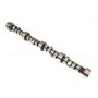 Camshaft for engine p38 petrol 4.6l