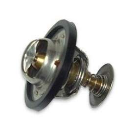 Thermostat 200 tdi