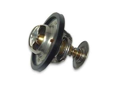 Thermostat 200 tdi