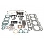 Cylinder head overhaul kits