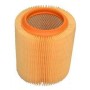 Air cleaner element efi