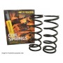 Old man emu coil springs lift rear - up to 40mm