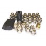 Kit 4 anti-theft nut aluminum wheels - disco 2 / p38