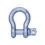 Shackle 4.7t