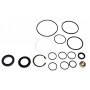 Seal kit steering case 6 bolt defender