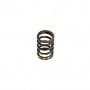 Valve spring