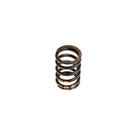 Valve spring