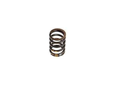 Valve spring