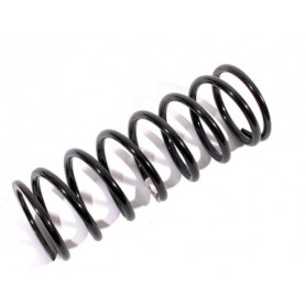 Coil spring frt lh