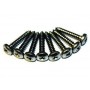 Front grille screw kit s/s