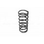 Spring - coil n/s rear 110