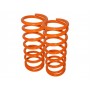 Britpart performance lowered springs rear