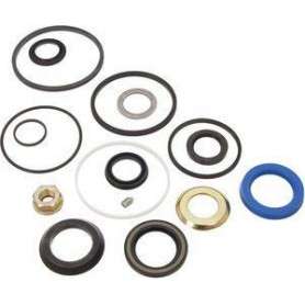 Seal kit - steering 4 bolt housing - disco1