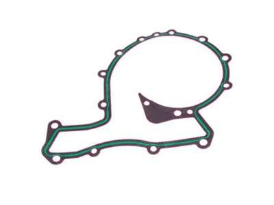 Water pump gasket_copie