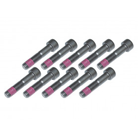 Drive flange bolt set of 10