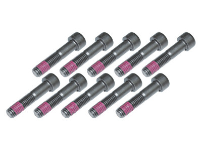 Drive flange bolt set of 10