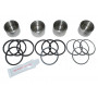 Brake caliper piston kit rear