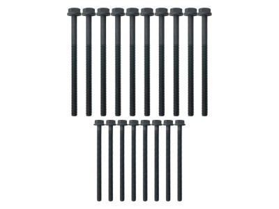 head bolt set puma 2.4
