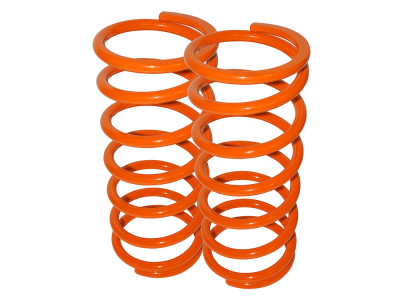 Britpart performance lowered springs front