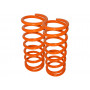 Britpart performance lowered springs rear