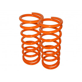 Britpart performance lowered springs rear