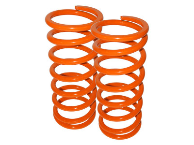 Britpart performance lowered springs rear