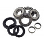 rear non locking diff overhaul kit