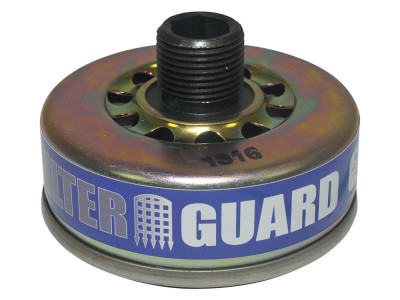 Filter guard