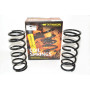 Old man emu coil springs front lift - up to 40mm