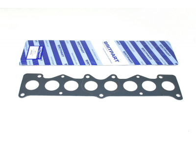 Inlet manifold gasket 300tdi