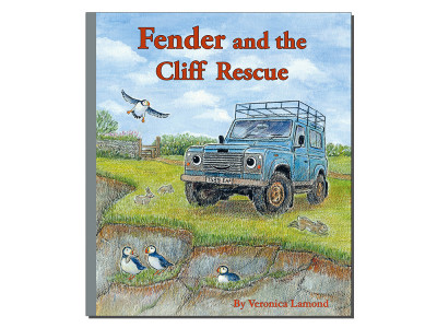 fender and the cliff rescue