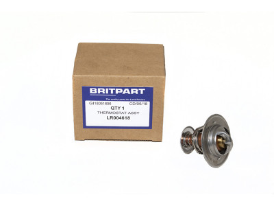 Thermostat assy