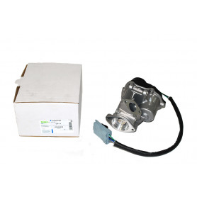 soupape recyclage des gaz d'echappement Range L322, Sport