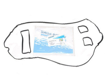 gasket-valve Evoque