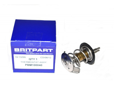 Thermostat assy