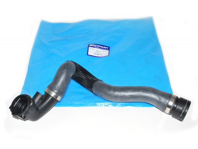 Hose lower radiator - l322 4.4 v8