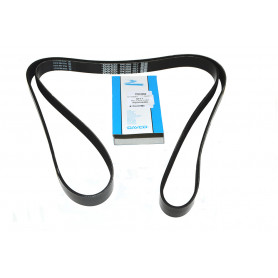 belt-polyvee