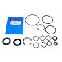 Seal kit steering case 6 bolt defender