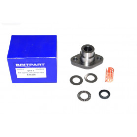 Kit axle pivot upper - disco1 abs