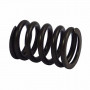 Valve spring