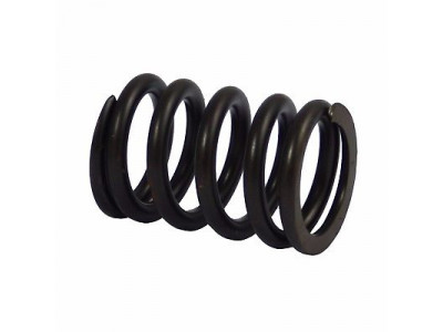 Valve spring