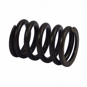 Valve spring 300tdi