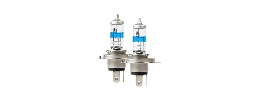 Ampoules Freelander