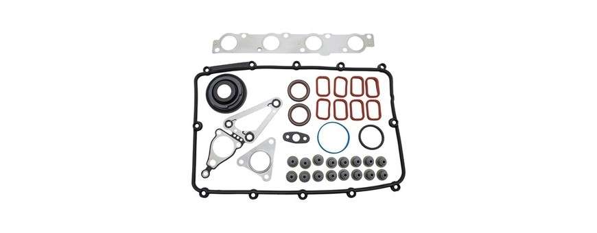 Kits haut Moteur 2.4 TD4 Defender