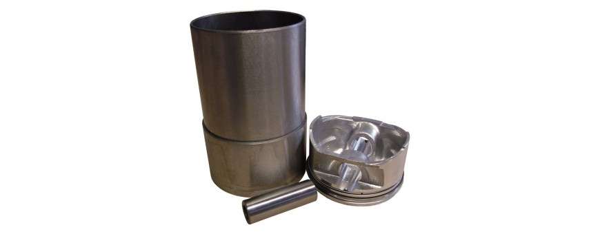 Pistons Moteurs Range Rover Classic 2.5 VM