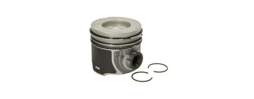 Pistons Moteur TD5