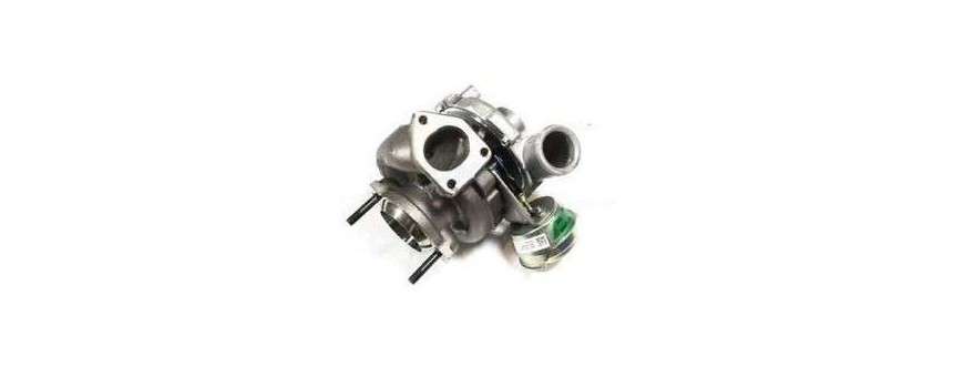 Turbos Moteur TD5